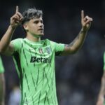 maxi araujo