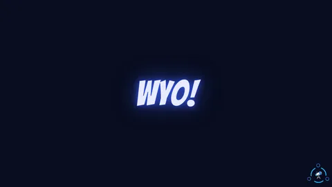 WYO Meaning in Text: What It Really Stands For (And How to Reply)
